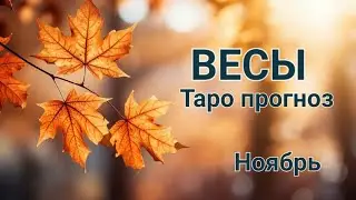 ВЕСЫ🌈 Таро прогноз🌛Ноябрь 2024