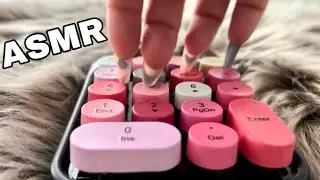 ASMR BUILD UP TAPPING AND SCRATCHING ON RANDOM ITEMS #6