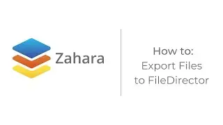 How to export files to FileDirector
