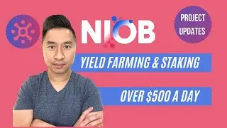 Yield Farming And Staking Over $500 A Day