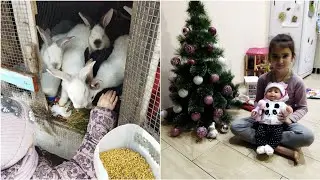 День многодетной семьи в деревне👍 Вышли с дистанта📚Наши традиции🎄