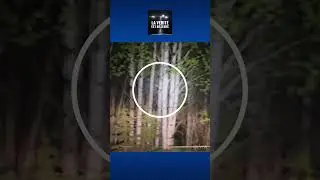 ★ Incroyable : La Dashcam d’un camionneur enregistre un grand Sasquatch !