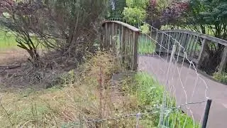 Golf Course After Grazing | Clean Stream Edges & Restored Visibility ( Enclosure # 12)