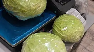 Content Uz в прямом эфире!