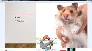 De hamsterspreekbeurt van Timon - Lekker Spelen