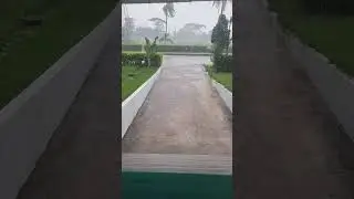 Rain ❤️❤️