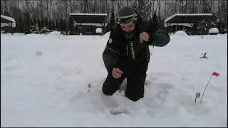 Безлимит где клюёт!