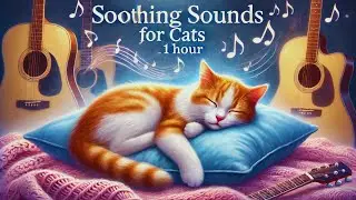Gentle Tunes for Cats: 1 Hour of Calming Music to Ease Feline Separation Anxiety 🐾🎶💗