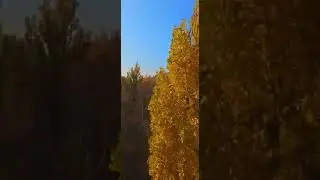 #FPV/ 