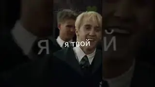 ммои любимчики 💚🧡 