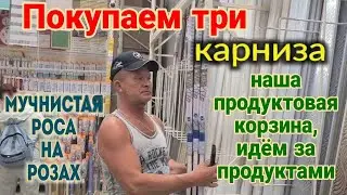 Ейск🌹Живем у моря. Покупаем карнизы. Наша продуктовая корзина. Ремонт на Кухаренко. Хоши...