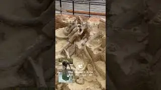 The Mammoth Site: Most Incredible Mammoth Graveyard