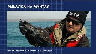Рыбалка на минтая весной