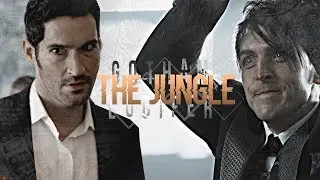 Lucifer ✘ Gotham ► The Jungle [+Spellbound]