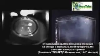 'СОСТАВ и ДЕЙСТВИЕ ЭнвироТабс' Часть 1-я Фильм 7