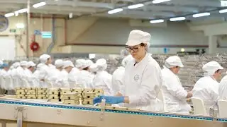 Explore TV - Fish Cannery