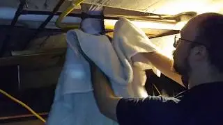 We Managed To Get The Bird To Safety