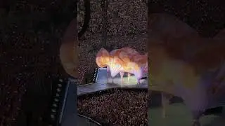 Taylor Swift - WARSAW (Poland) 1.08.24 (intro)