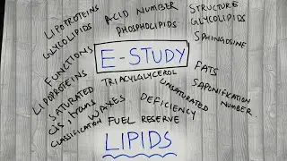 Understanding Lipids- E-Study