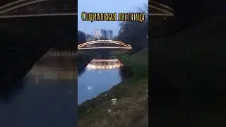Социальная лестница