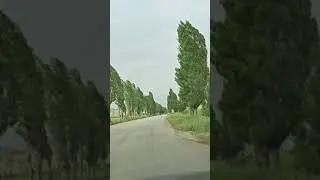 West Bekaa Ammik البقاع الغربي - طريق عميق Lebanon