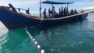 Penangkapan ikan teri