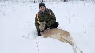 Загонная охота на косулю.