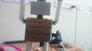 Humanoid robot