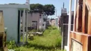 Um dia no cemitério