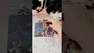 ПРЕДКИ ГОВОРЯТ!