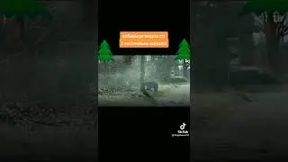 Эх жизнь!