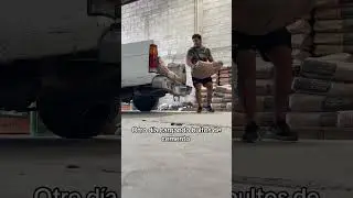 Albañil de los finos 