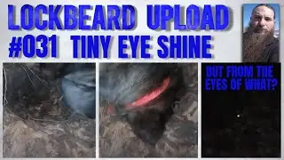 UPLOAD #031.  Tiny Eye Shine