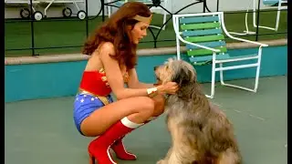 Wonder Woman Gives The Girl From Ilandia Motherly Advice & Uses Dog Telepathy???? 1080P BD