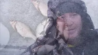 подлещик