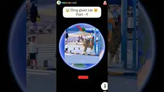 🤯 omg Giant funny cat 😺 part - 4 on google maps and google earth 🌎 #shorts #earth  #worldearthvisit