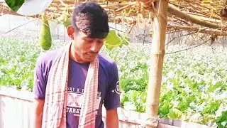 সফি_কামলা_নিয়ে _বিপদে আছে _#গানের_জগত