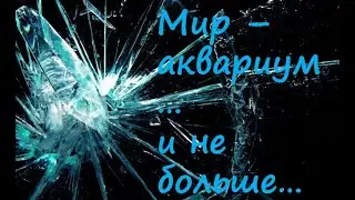 Мир - аквариум и не больше...