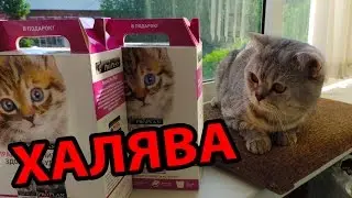 Халява! Бесплатный премиум корм для вашего любимца.