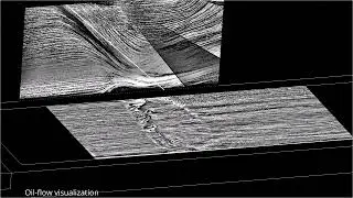 Flow Physics of a Turbulent Shockwave/Boundary-Layer Interaction - A Visual Study