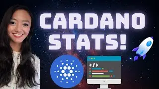 Cardano (ADA) Weekly Stats!