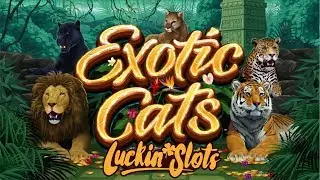 EXOTIC CATS 🍀 MICROGAMING🍀LUCKIN SLOTS🍀 BIG WIN
