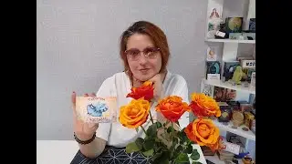 Сожалеет ли Он?! И о чем?