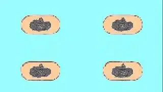 Размножение бактерий.flv