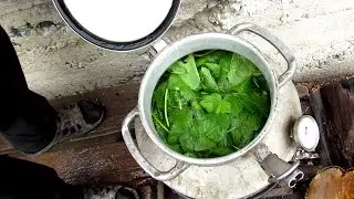 Pickling cucumbers, a recipe from Yashka...