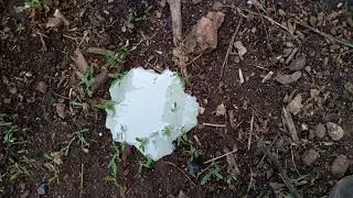 как не надо промывать мотор когда вода попала в картер