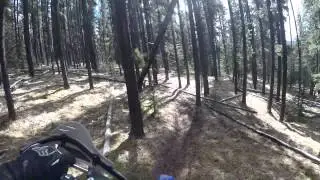 Play YZ250FX