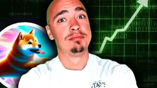 DOGEVERSE - HONEST REVIEW OF THIS PRESALE!