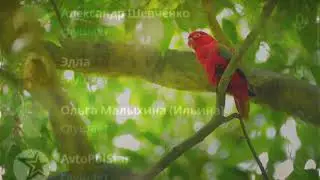 Автономия.  Безопасный Метод перехода в Любом Возрасте.