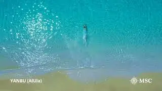 Profitez de la beauté intemporelle de l'Arabie saoudite et de la mer Rouge à bord du MSC Bellissima